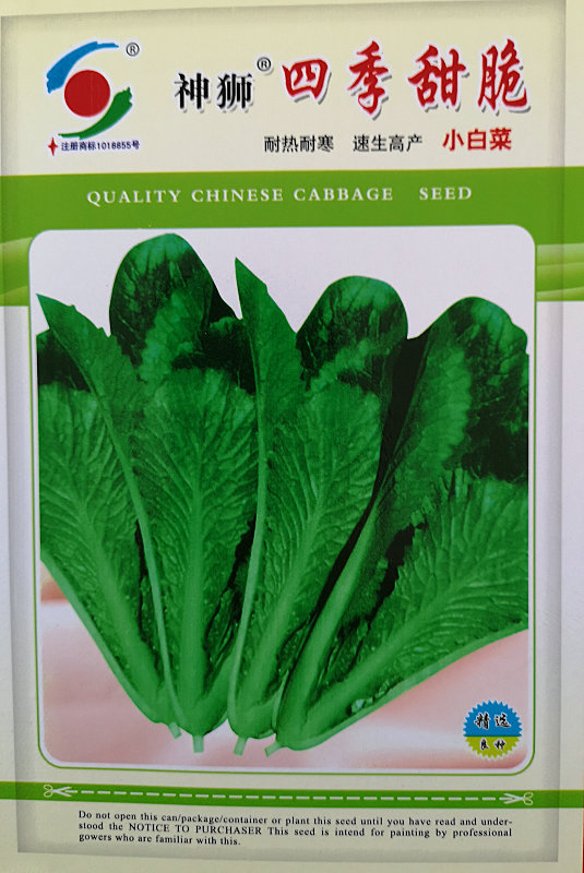 Four Season Sweet Crisp——Early-maturing Chinese Cabbage Four Season Sweet Crisp——Early-maturing Chinese Cabbage